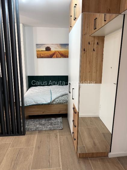 Apartament o cameră 41 mp plus terasa Ateneo Torontalului  - 4