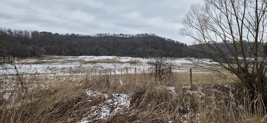 De vanzare 1.7ha teren-6 euro/mp - 3