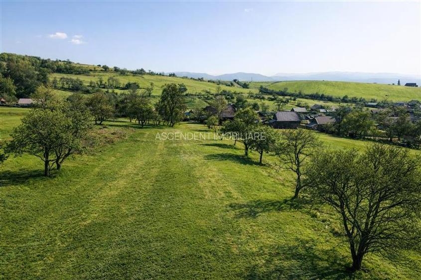 Film! Casa din lemn,cu doua camere, pe domeniu de 2.819 mp, Mereni, Covasna - 5