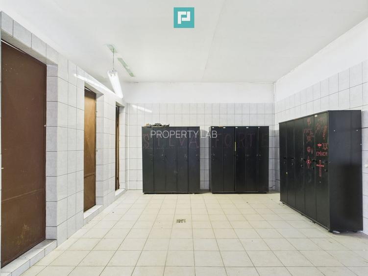 Hale 1800 mp fiecare – acces autostradă, Teiu, HD - 8