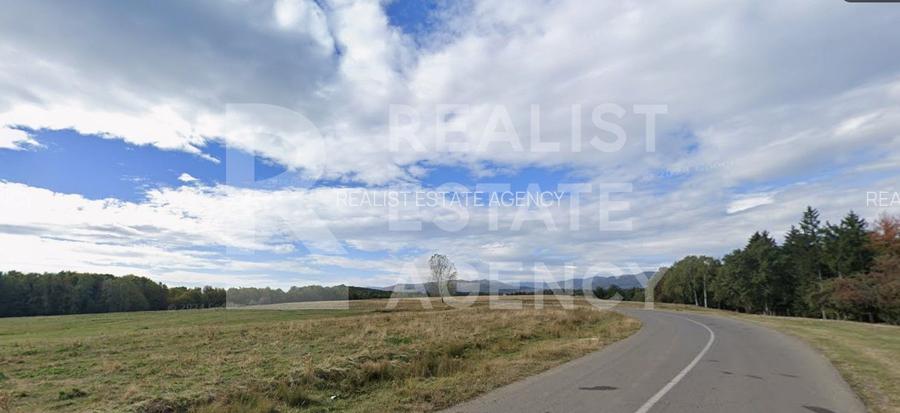 Teren intravilan 4,2 ha de vânzare| ideal investiție| POT 40%| Teișani - 6