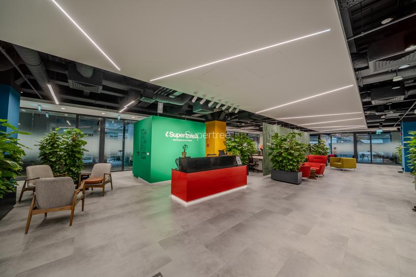 Birou privat premium (până 4 persoane, cu lumină naturală, la Supertree Pipera) - 5