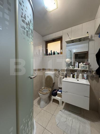 Casa Puskin D+P+1E + terasa pamoramica, 225 mp utili, 417 mp teren