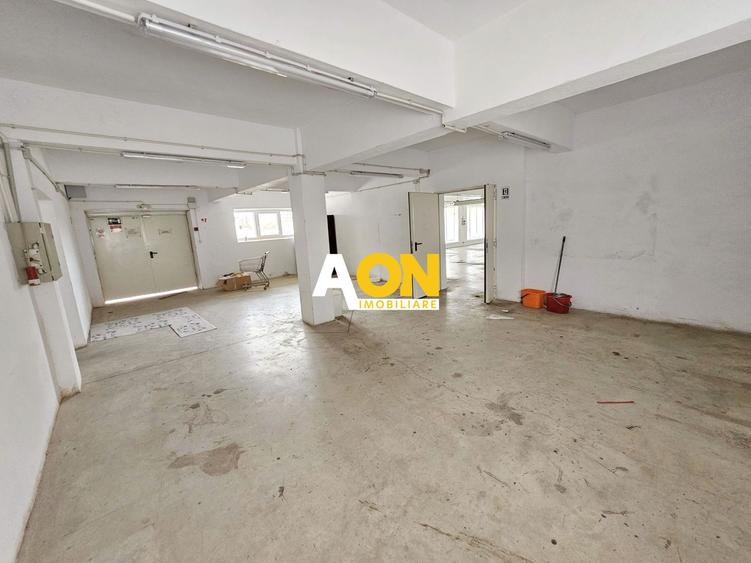 Spatiu industrial pentru productie sau depozitare, 1600 mp, Sebes