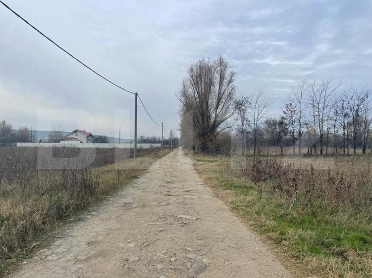 Teren extravilan agricol 5792 mp Popoveni