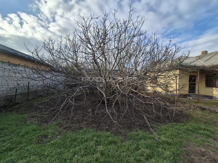 KM 5 CASA DEMOLABILA, TEREN 750 MP. IDEAL CONSTRUCTIE VILA, DUPLEX, REZIDENTIAL - 4