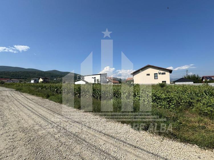 Teren intravilan | De vanzare | 5000 mp | 150 ml deschidere | Micesti - 3