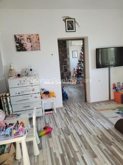 Vanzare proprietate cu 2 case Zurbaua- Dragomiresti Vale - 6