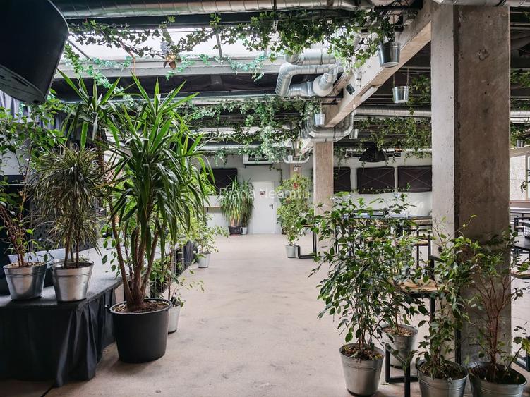 Spațiu 576mp+120mp curte la 5 minute de Metrou Pipera - 9