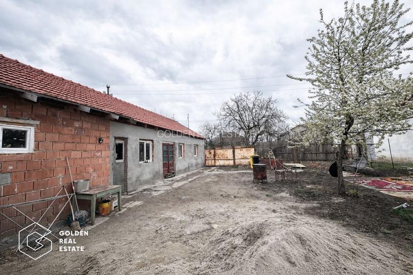 Casa cu 3 camere in Sinicolau Mic, teren 400 mp - 9
