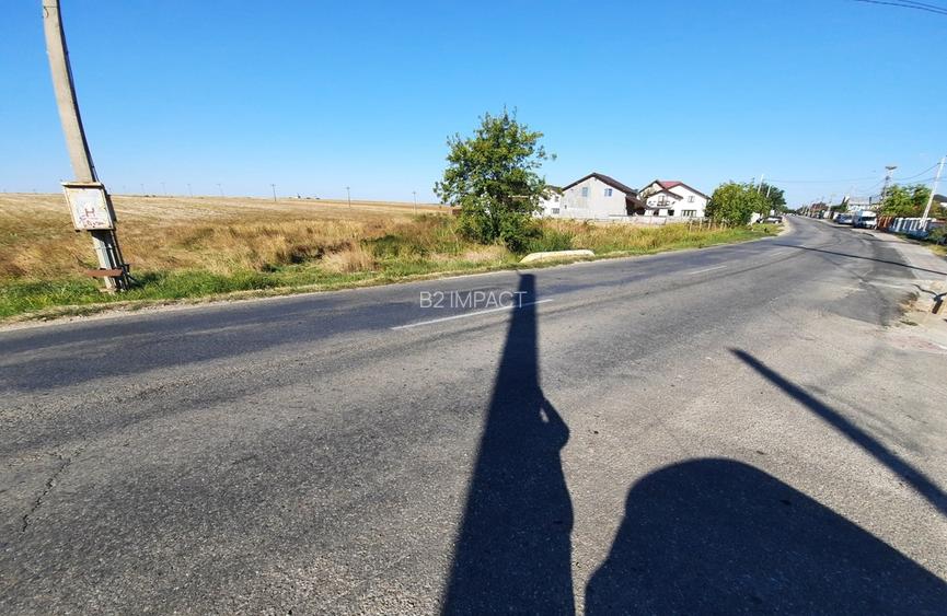 Teren intravilan 33.496 mp, Com. Bradu (fosta Com. Albota), Arges - 2