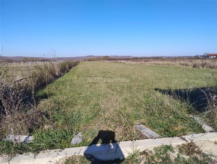 RECO Teren intravilan, Miniparadis - 4