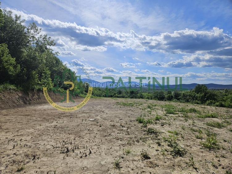 Teren 3.000 mp cu priveliște panoramică spre Munții Făgăraș - 5