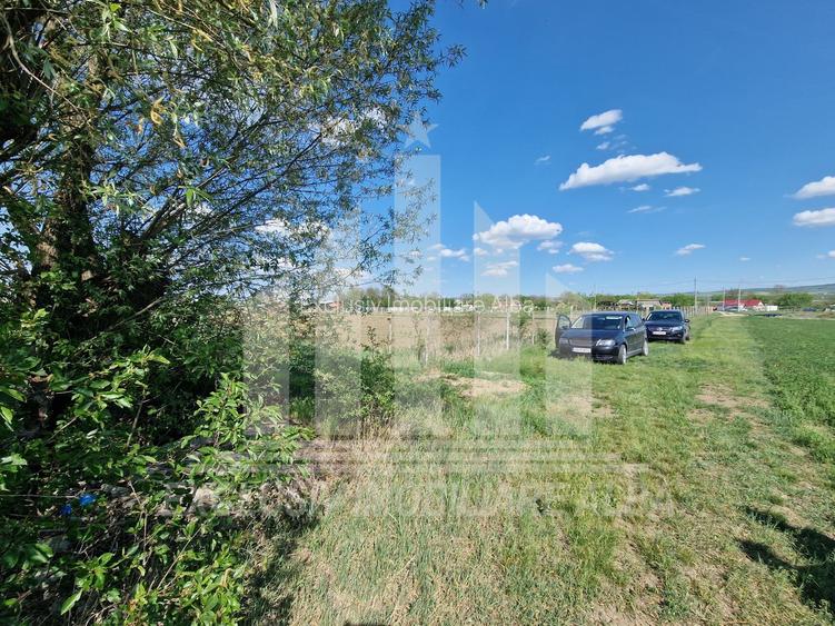 Teren extravilan | De vanzare | 2600 mp | 13.7 ml deschidere | Partos - 4