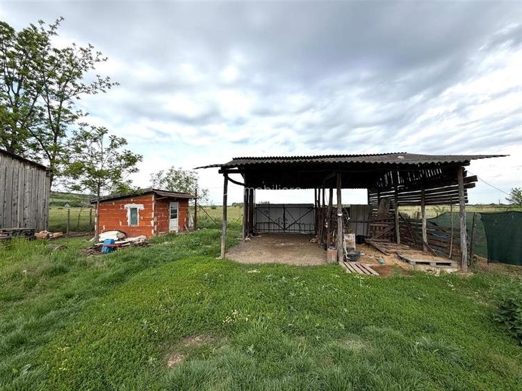 CASA CU TEREN 1081 MP | ACCES AUTO | ZONA SACUIENI | LOCALITATEA CADEA | BIHOR - 26