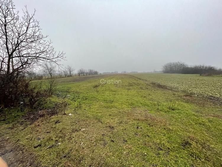 Teren intravilan + extravilan - 3