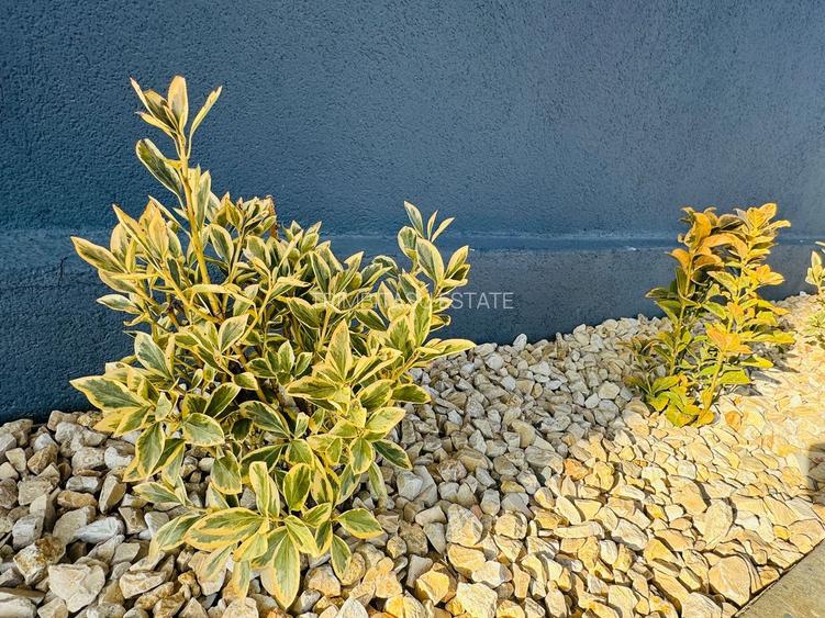 Vila P+1+M 5 camere Popesti-Leordeni - 48