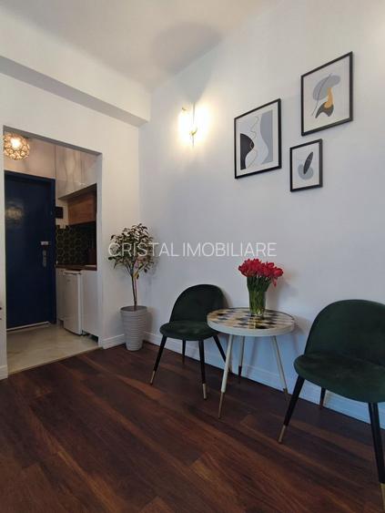 Apartament 1 camera, pachet 3 garsoniere, mobilat, renovat -  Ultracentral - 5