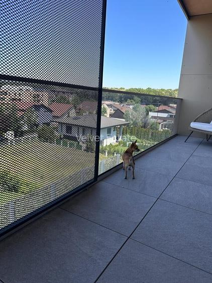 COMPLEX CU PISCINA - British School of Bucharest! - 16