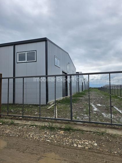 Hale noi 2026 AFUMATI ( Moara Domneasca ) 2300 Euro - 11