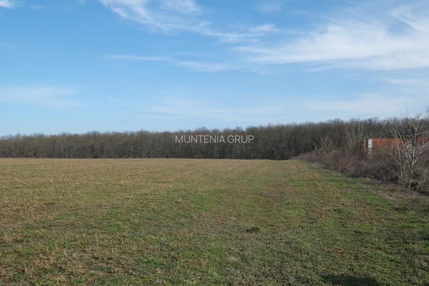 Peninsula GANEASA, 1075 mp. teren intravilan cu pozitie exceptionala spre lac - 7