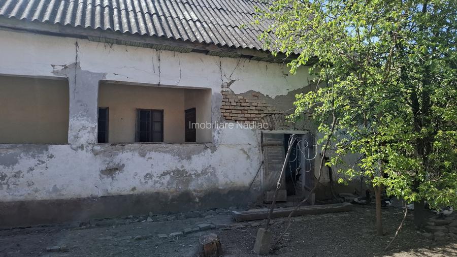 Casa pentru renovare  in Nadlac cu teren 1472mp - 11