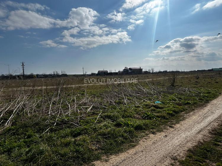 vânzare doua loturi Teren intravilan  – Techirghiol - 5