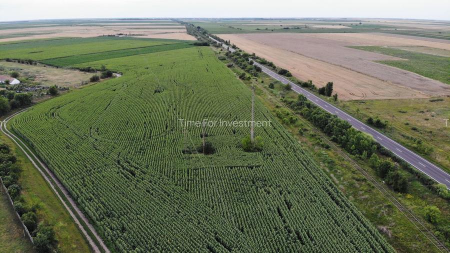 Vand Teren Extravilan Becicherecu Mic(zona industriala) 18.000mp,Utilitati - 2