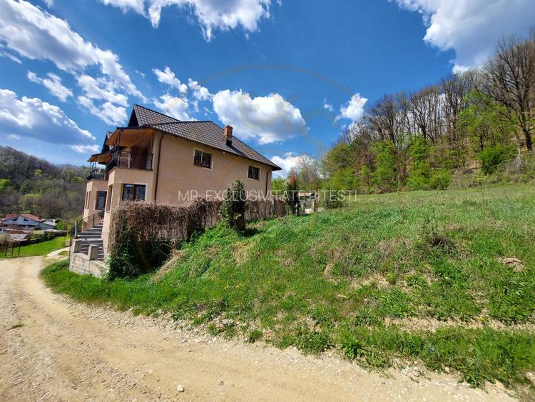 Casa 6 camere langa padure/ 340 mp/ teren de 3 745 mp la 5 min de Pitesti - 13