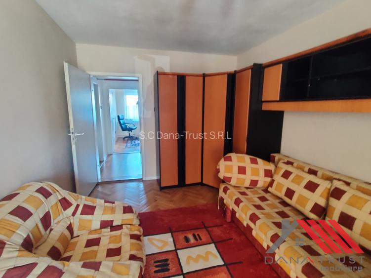 Semicemtral - Pe malul Begai, langa Nokia, - 9