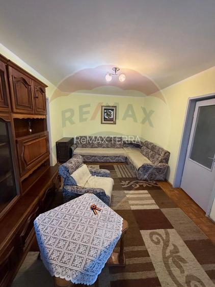 Chirie Pet Friendly apartament 2 camere Caragiale - 12
