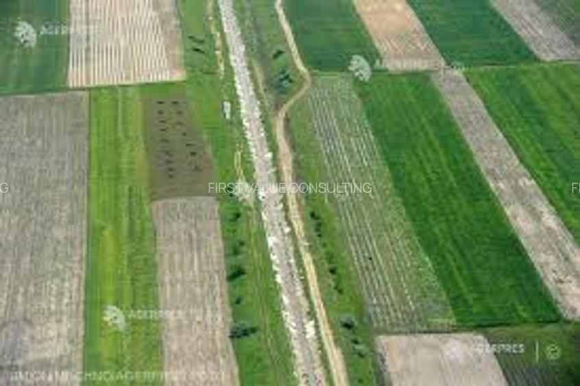 Fermă in Mehedinti de Vânzare complet  Funcțională 560 ha - 3