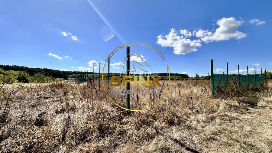 Corbeanca 5000 mp | deschidere 22 m la drum asfaltat | padure | utilitati  - 8