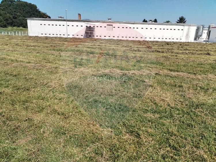 Teren intravilan de vânzare – 3.700 mp –  Brasov / Strada Cucului - 2