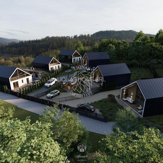 Teren 2.950 mp+ Proiect Resort ALPINA 6 COLIBITA- vedere lac Colibita - 2