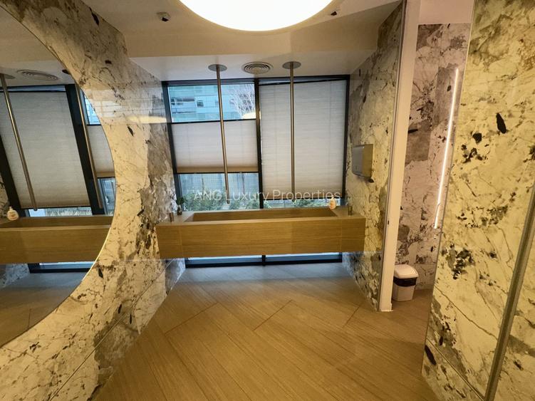 SPATIU COMERCIAL PIPERA PRETABIL  Pentru BIROURI SAU ALT TIP DE BUSINESS - 8