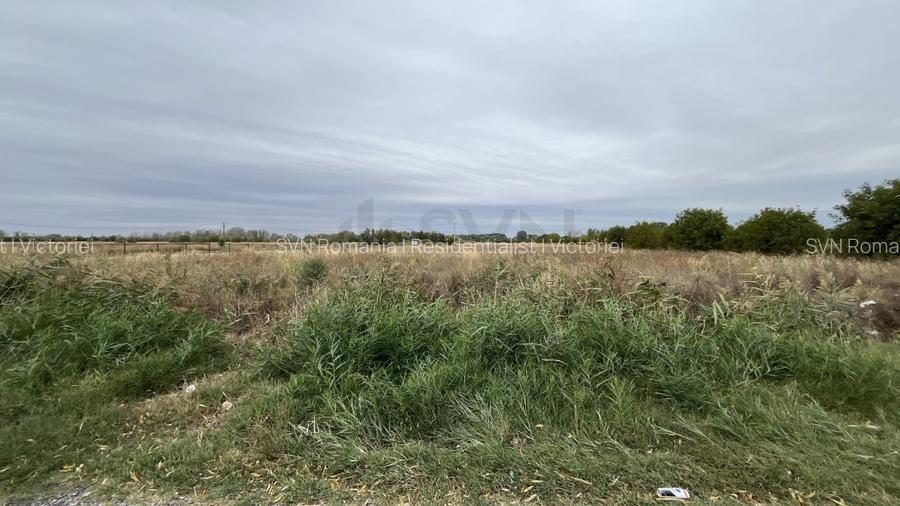 REL4001208 Teren intravilan oportunitate de investitie - 2