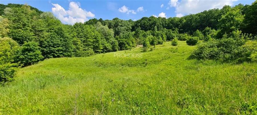 Teren 2033 mp- langa padure-  Margineni- Podis Dubas - 2