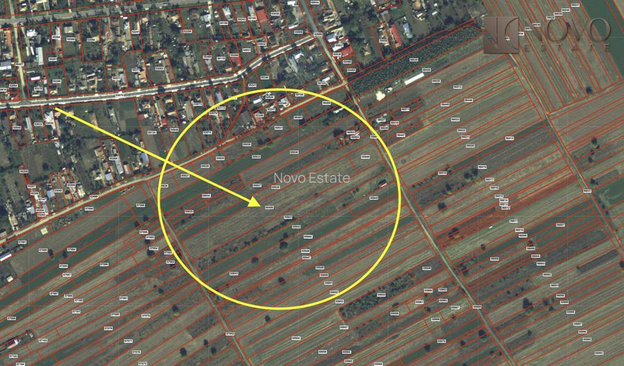 Teren 11.000 mp | Gradistea | Oportunitate Dezvoltare - 4