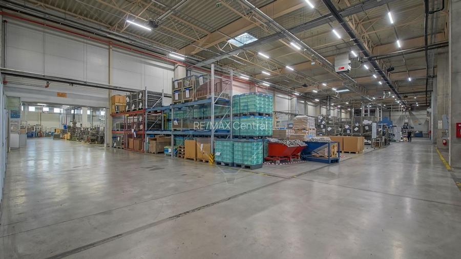 Hală industrială 5.000–12.000 mp de închiriat, Ghimbav - 16