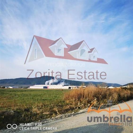 Teren industrial Dej - 21