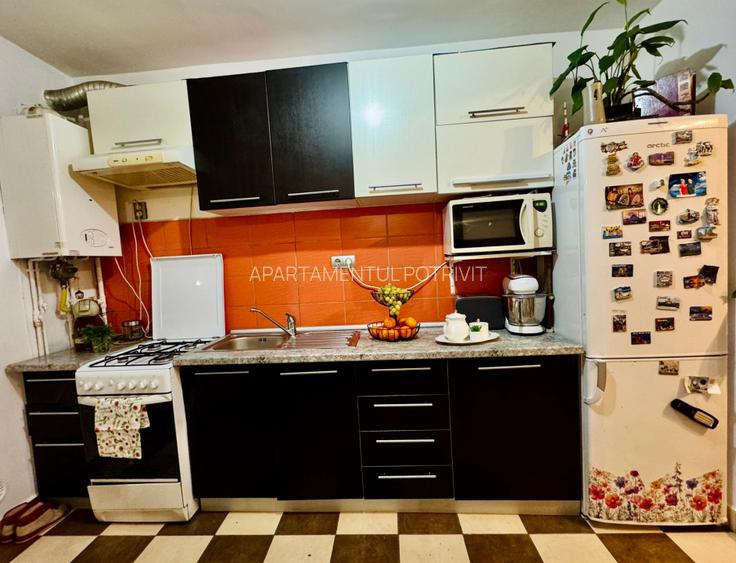 Refugiul tau de liniste la marginea padurii!apartament cu gradina si parcare  - 7