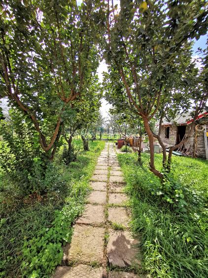 Vand direct de la proprietar vila moderna la 2 km de Timisoara cu retea gaz - 5