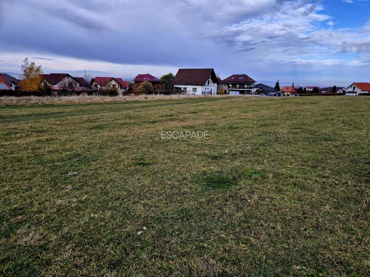 Teren Intravilan superb, 504 mp x 2/ casa locuit Bunloc - 3