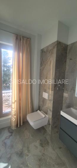 Proprietate deosebita Iancu Nicolae - 29