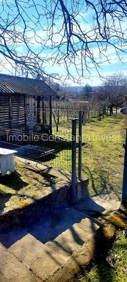 Seimenii Mari Casa 5 camere S.teren:4260 +vie+pomi fructiferi  vedere la Dunare - 7