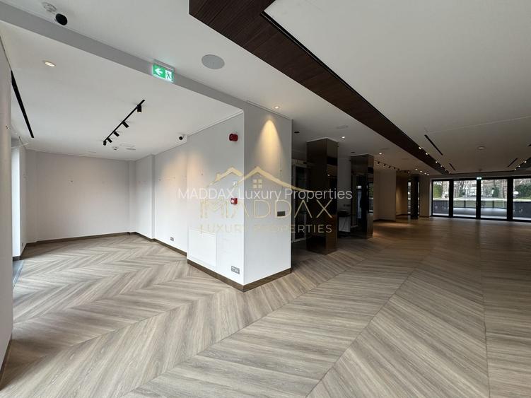 Spațiu Comercial de Lux – Kiseleff *376mp - 6