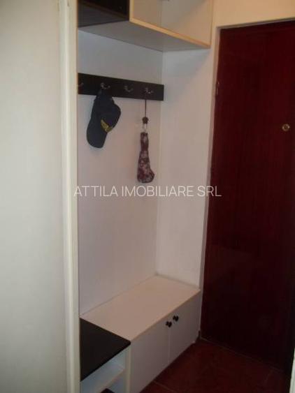 Brancoveanu 2 camere 300 euro - 9
