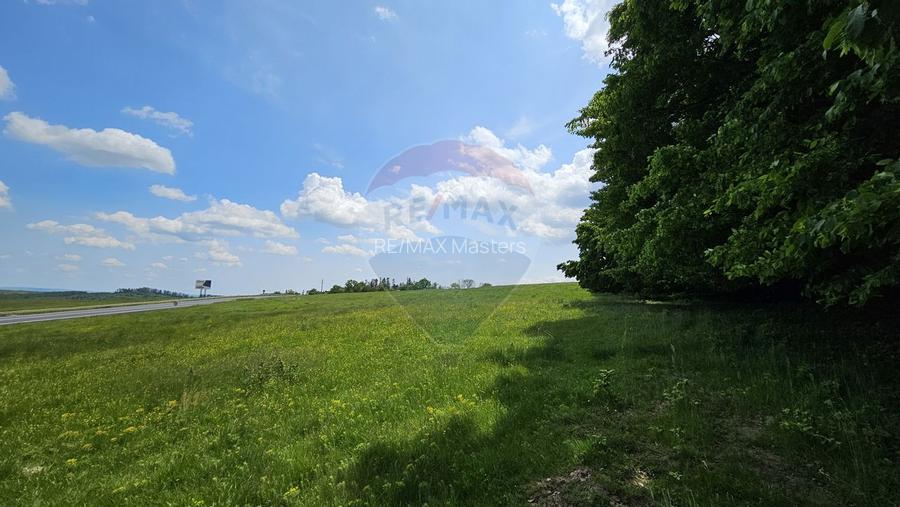 Teren Ilisesti  7000mp extravilan/ DN 17, Suceava - 11