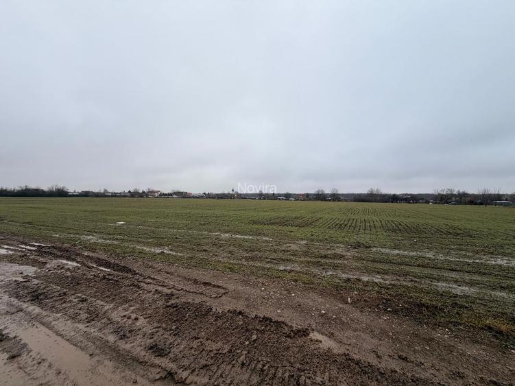 Teren Snagov - Cioflinceni | Drum amenajat | Aproape de Padure si Lac - 3